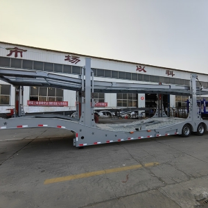 Central Asian Five Countries European-Style Car Carrier Cage Trailers