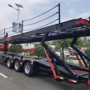 中亞五國歐式風格轎運車籠車